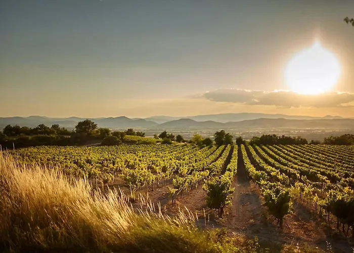 Apartamento Magnifique T2 Avec Piscine Partagée à