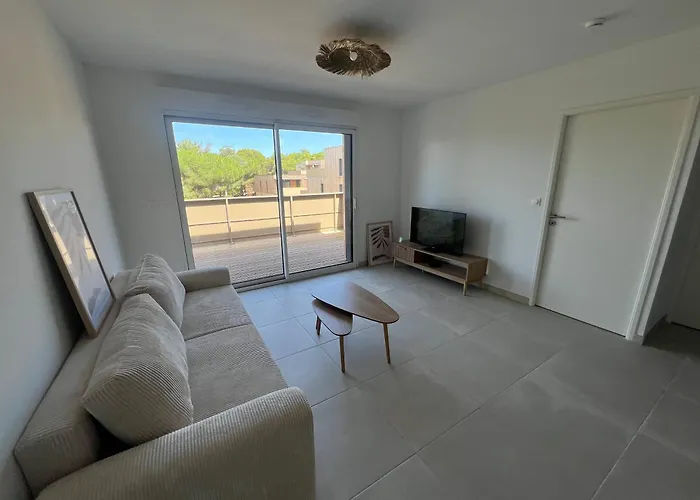 Magnifique T2 Avec Piscine Partagée à Agde