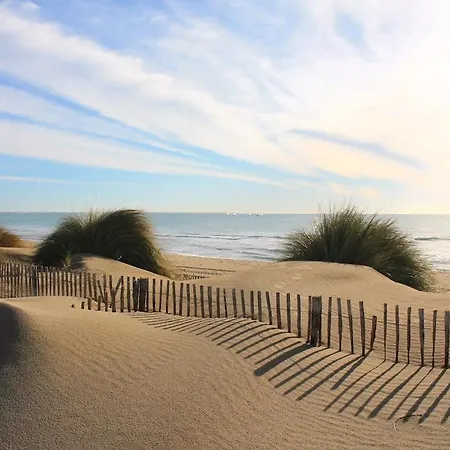 公寓 Magnifique T2 Avec Piscine Partagee A